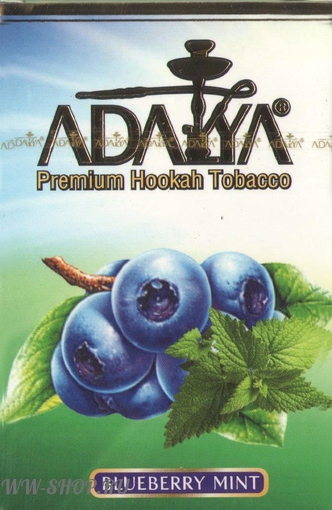 adalya- черника с мятой (blueberry mint) Муром